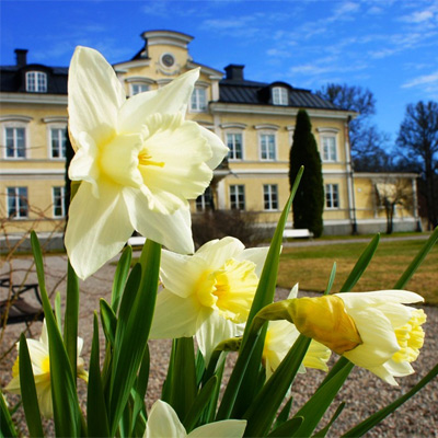 thaimassage i norrköping naken mormor thaimassage i norrköping naken mormor