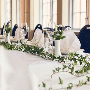 Fest på Julbord på Nedre slotts