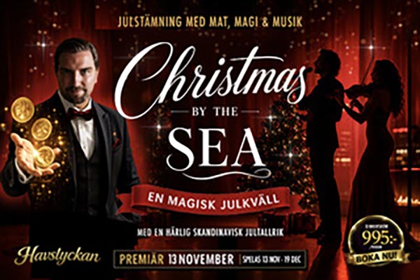 Fest på Havslyckan
